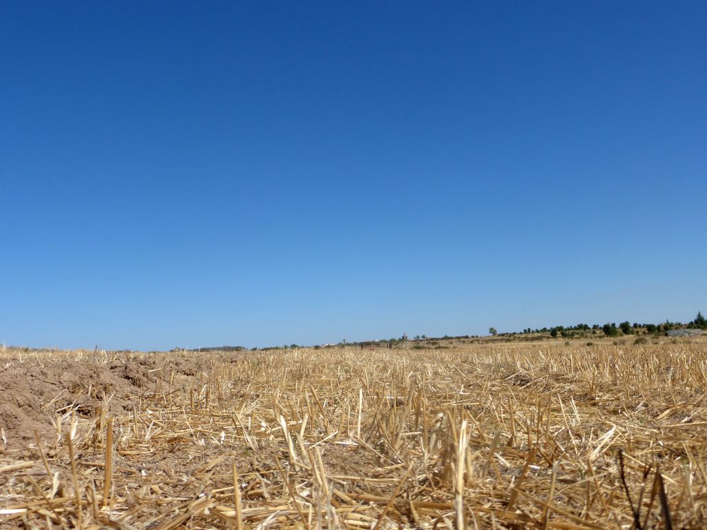 Agricultural land